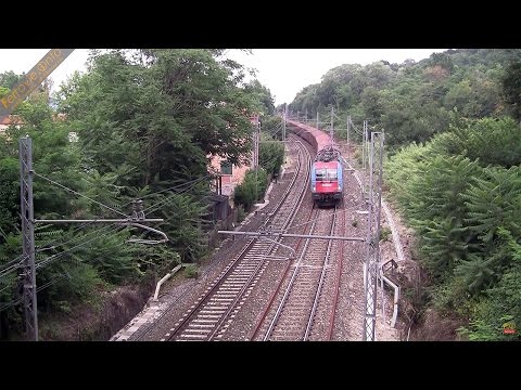 190 311 InRail in transito nei pressi di Settebagni - 190 311 InRail running near Settebagni