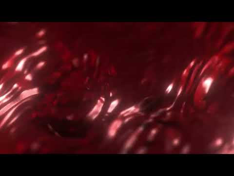 Clvr 808