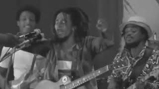 BOB MARLEY “NATTY DREAD” RARE VIDEO