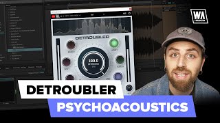 Video thumbnail for Detroubler - The Science of Psychoacoustics by W. A. Production