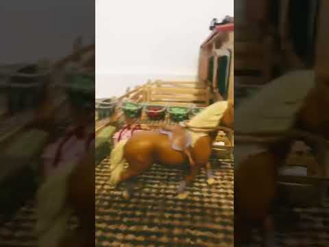 Testing Meko!!@schleich he is such a good boy 👍