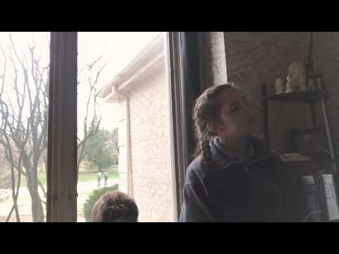 Mia Bertino: If We’re Honest- Francesca Battistelli cover