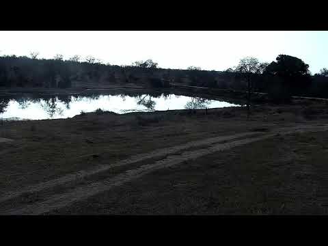 Djuma: Sights and sounds - 07:54 - 08/16/21