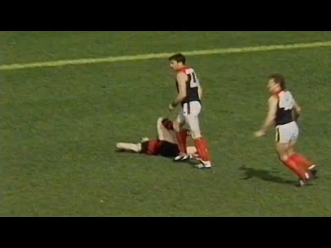 Essendon's Michael Warner elbows Melbourne's Steven Stretch & Sean Wight retaliates - 1991