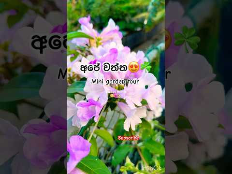 ගෙදර තියන නිදහස😍🌳 #home #peace #flowergarden #gardentour  #srilanka #calmmusic