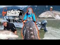 Video Thumbnail for Yves Bisson - The Sturgeon Whisperer (Fraser River, British Columbia - DREAM TRIP)