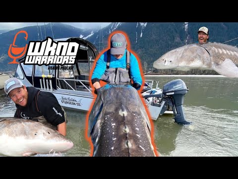 Yves Bisson - The Sturgeon Whisperer (Fraser River, British Columbia - DREAM TRIP)