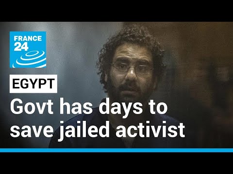 Egypt has days to save jailed activist Alaa Abdel Fattah's life, Amnesty chief warns • FRANCE 24
