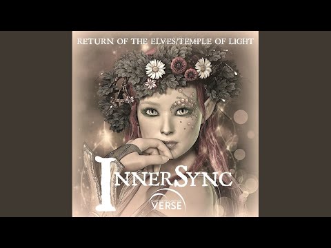 Return Of The Elves (Original Mix)