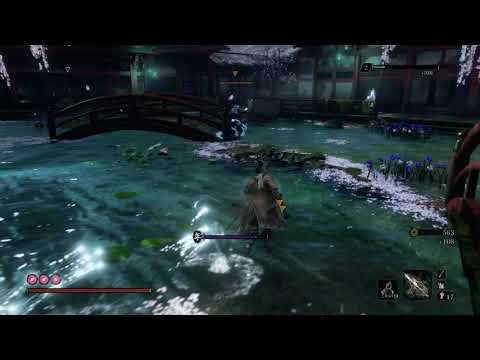 Sekiro™  Shadows Die Twice   youth drain 2