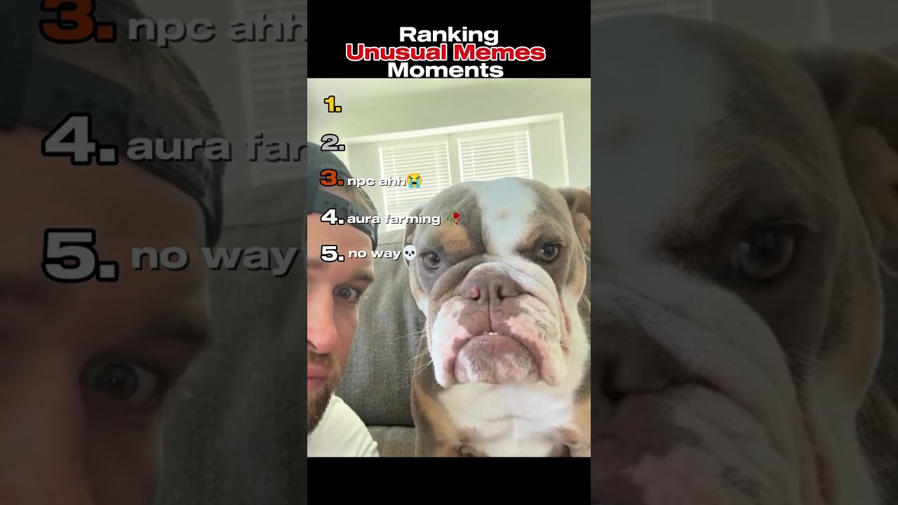 Ts Frying Me For Real💀🙏 #memes #funny #unusual #shorts #ranking