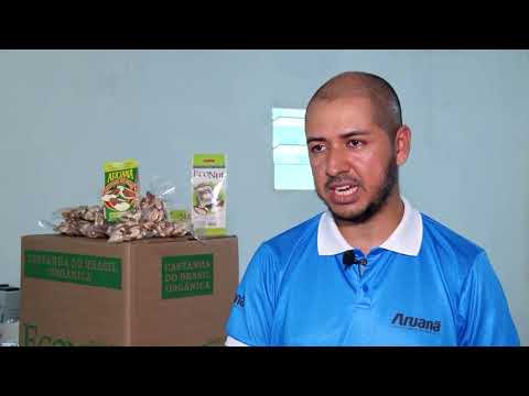 Programa Nosso Agro - Castanha do Brasil