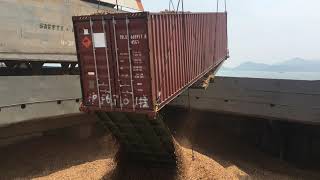 Wood Chips Shipping
