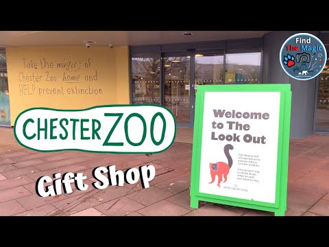 Chester Zoo Gift Shop Tour | December 2021