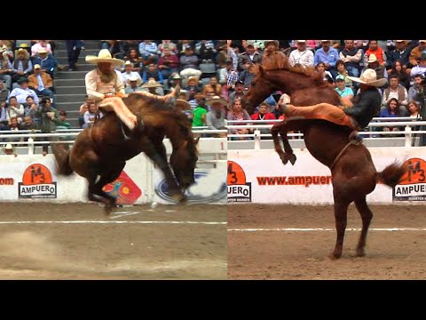 Jineteo con Yeguas de Reparo - Lo mejor de la Charrería