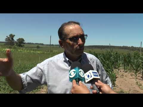 FELIX GONZÁLEZ / Productor rural de parada Medina