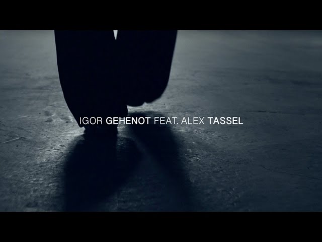 Igor Gehenot feat. Alex Tassel - Sleepless Night