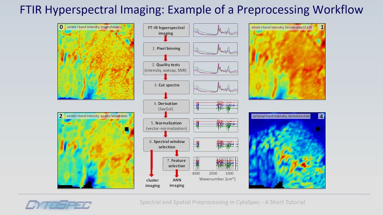 Tutorial Spectral and Spatial Preprocessing with CytoSpec