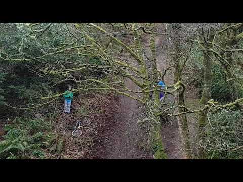 Mountain biking cornwall