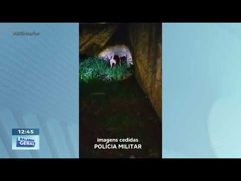 Flagrante do BAEP em Igaraçu do Tietê: apreensões de maconha e drogas sintéticas