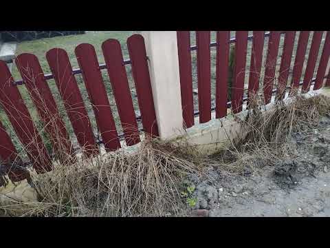 Oamenii revoltați in Fericea 💙💛❤️.