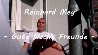 Reinhard Mey - Gute Nacht Freunde mit Lyrics
