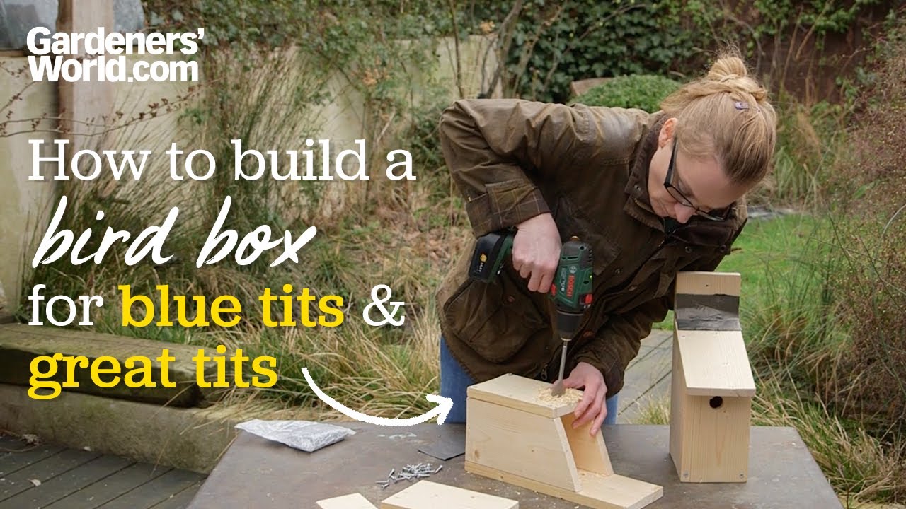 Attract MORE GARDEN BIRDS by building this simple bird box