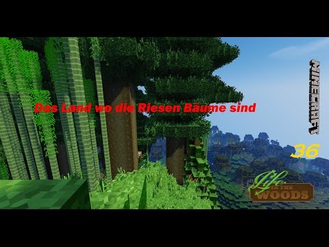 LifeInThe Woods (# 35) das Land wo die Riesen Bäume sind