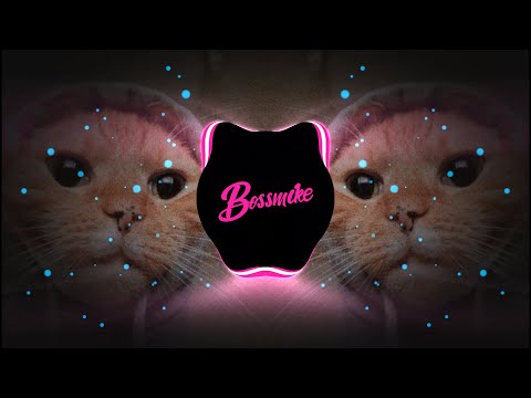DJ PREDADOR PERERECA REMIX VIRAL TIKTOK (BOSSMIKE BEATS REMIX)