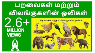 Learn Birds and Animals Sound in Tamil for Children