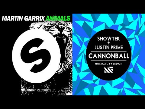 Martin Garrix vs. Showtek & Justin Prime - Animals Cannonball (Tomicii Mashup)