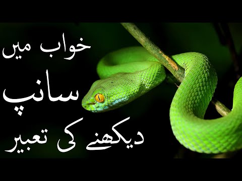 Khuwab me Sanp dekhne ki tabeer - Snake interpretation | Tabeer e Khuwab | Mehrban Ali | Mehrban TV