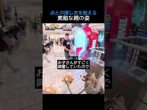 犬との接し方を教える素敵な親の姿
