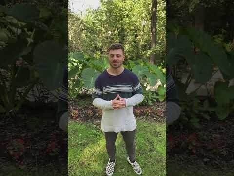 Is Yoga Nidra For You