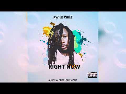 Pwile Chile Right Now ( Steel Pan Riddim)