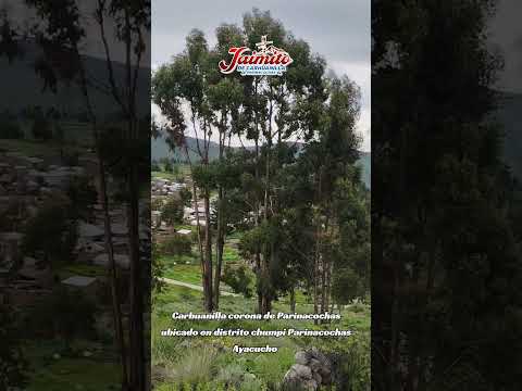 Carhuanilla corona de parinacochas Ayacucho 2026