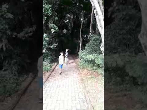 Mc gw e mc Kr bailao de comunidade - ritmo dos fluxos -( menores do PQ imperial