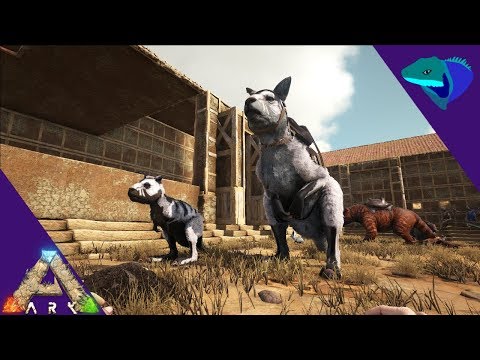 PROCOPTODON TAMING AND BREEDING! SOMETHING BAD HAPPENS! Solo Ark: Scorched Earth [S1:E16]