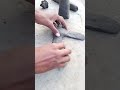 Make amazing windmill from clay and learn,मिट्टी से अद्भुत पवनचक्की बनाओ और सीखो#shorts #trending