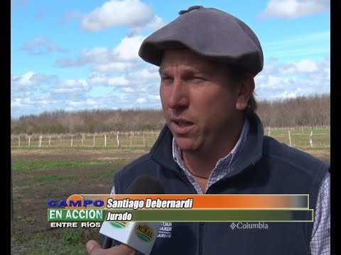 Angus Tercera Prueba Pastoril del Litoral - Santiago Debernardi