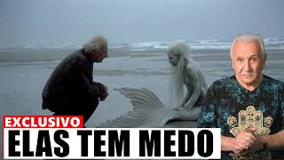 Ele Alimentou Sereias Por 40 Anos… Então Descobriu Por Que Elas Temem Os Seres Humanos