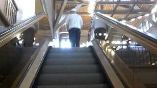 preview picture of video 'Schindler escalators and elevator at NY Thruway Sloatsburg Travel Plaza northbound'