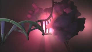 3D Animación Médica - Excelente!!