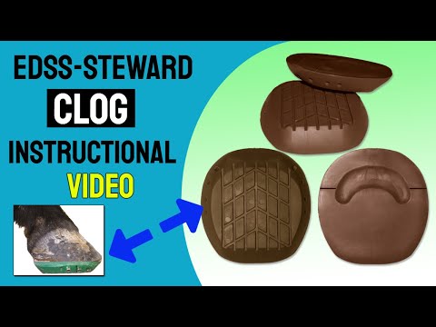 EDSS Steward Clog Instruction Video
