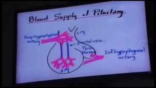 Dr Gehan Neurohypophysis & Adrenal Gland 27-11-2013