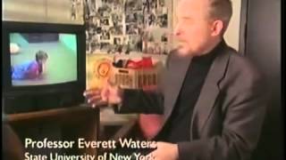 Strange Situation Experiment mp4