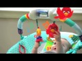 Introducing The Caterpillar S Day At The Park Bouncer From Baby Einstein