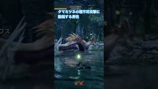 これどうやってかわすん？笑 #モンハン #モンハンライズ #ゲーム実況 #ゲーム #サンブレイク #モンハン持ち