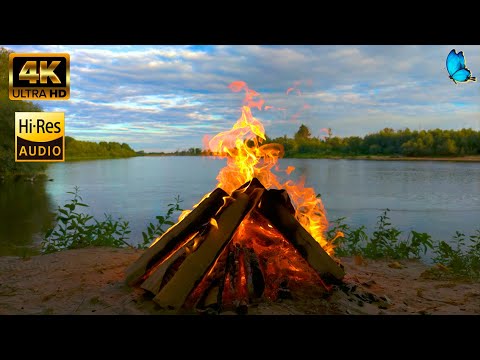 Campfire 4K at Sunset with Pure Nature Sounds in Ukraine. Relaxing, Meditation, Peaceful Deep Sleep