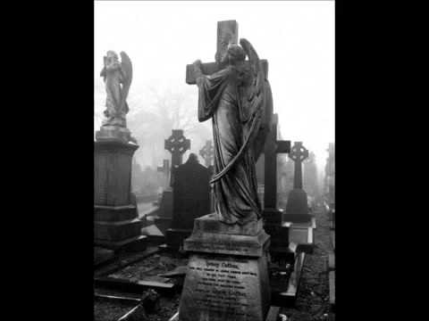 Tempestuous Fall   A Cold Stale Goodbye